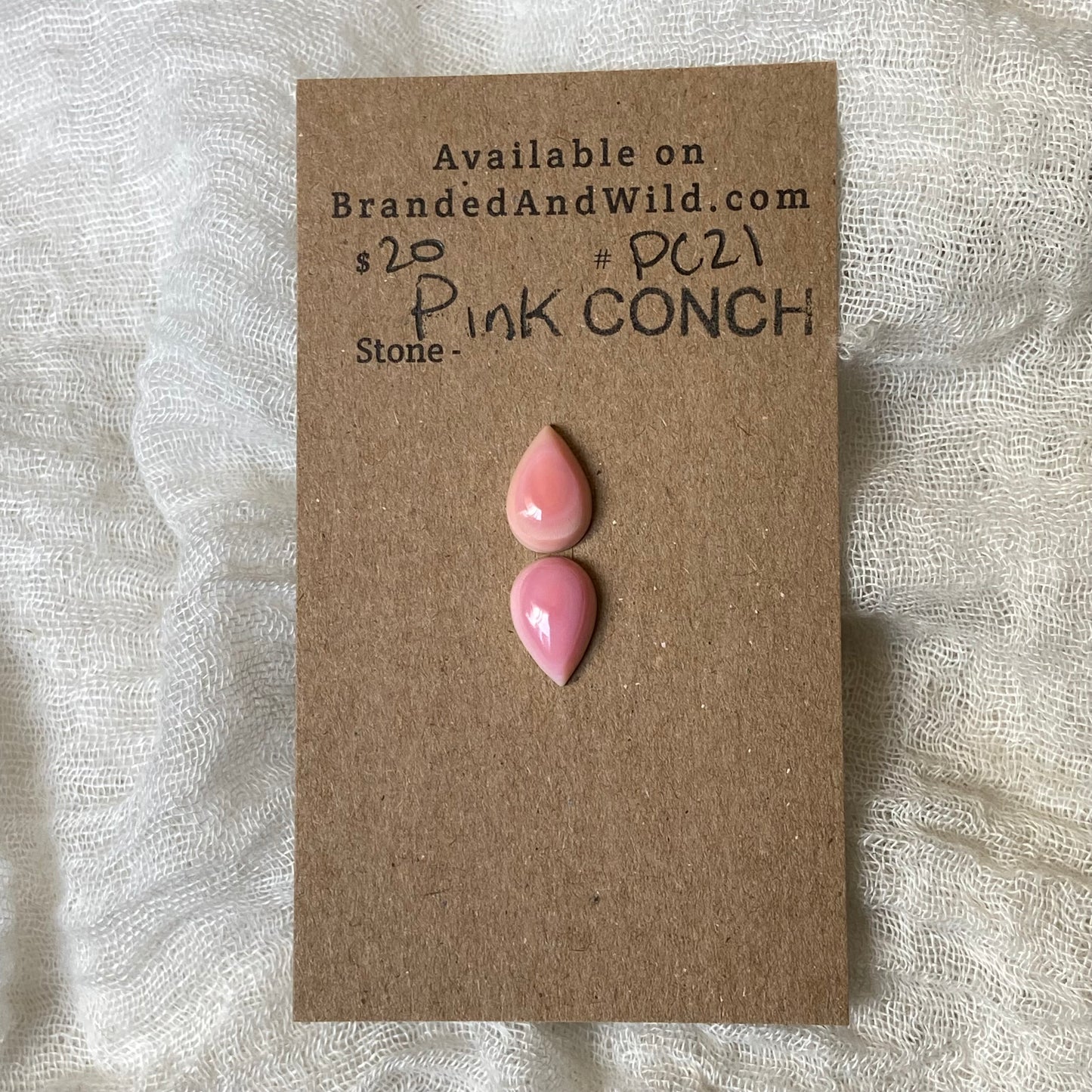 Pink Conch Cabochon - PC21 B060FE89-1D59-46DE-BBCF-3AE40125CD2A Brandedandwild.com