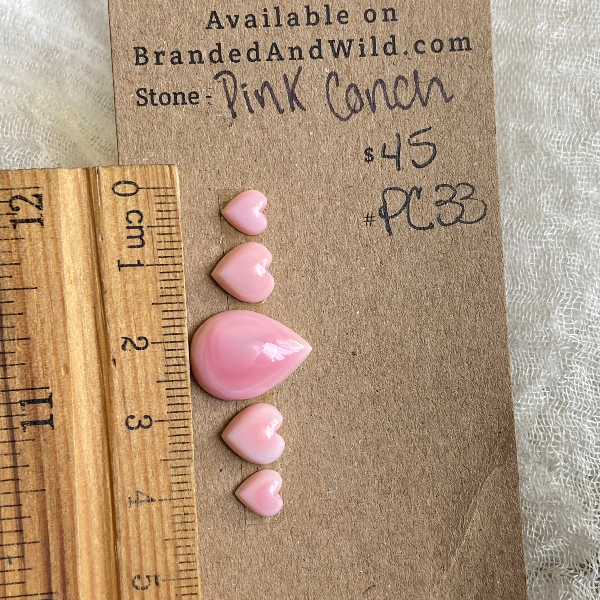 Pink Conch Cabochon - PC33 B0679703-5EF6-4532-8091-264EC6280A37 Brandedandwild.com