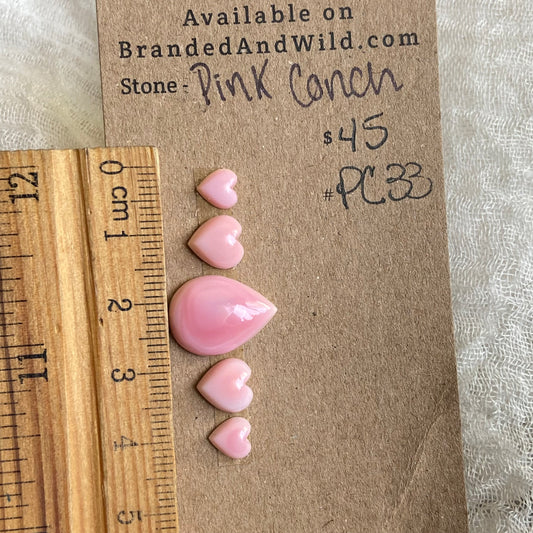 Pink Conch Cabochon - PC33 B0679703-5EF6-4532-8091-264EC6280A37 Brandedandwild.com