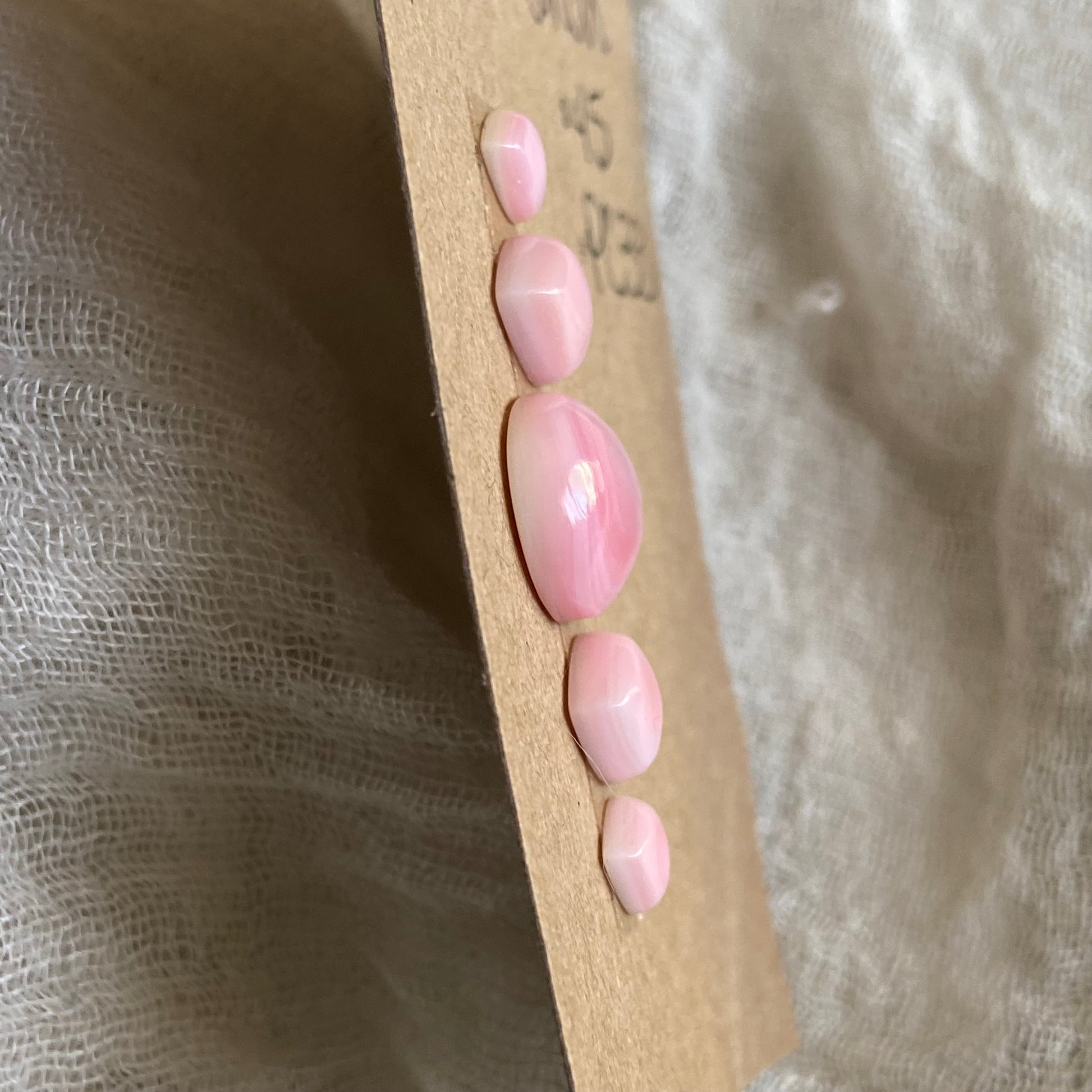 Pink Conch Cabochon - PC33 B0866AD7-6571-44D9-86B0-B2A882AB338E Brandedandwild.com