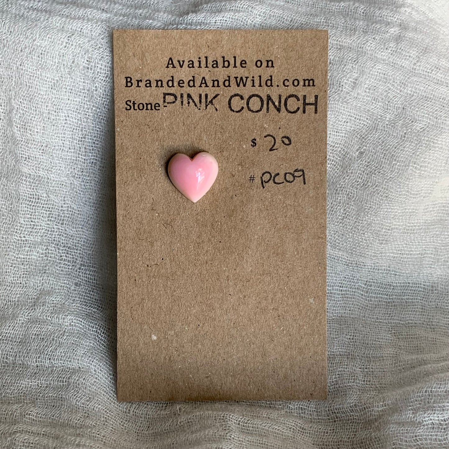 Pink Conch Cabochon - PC09