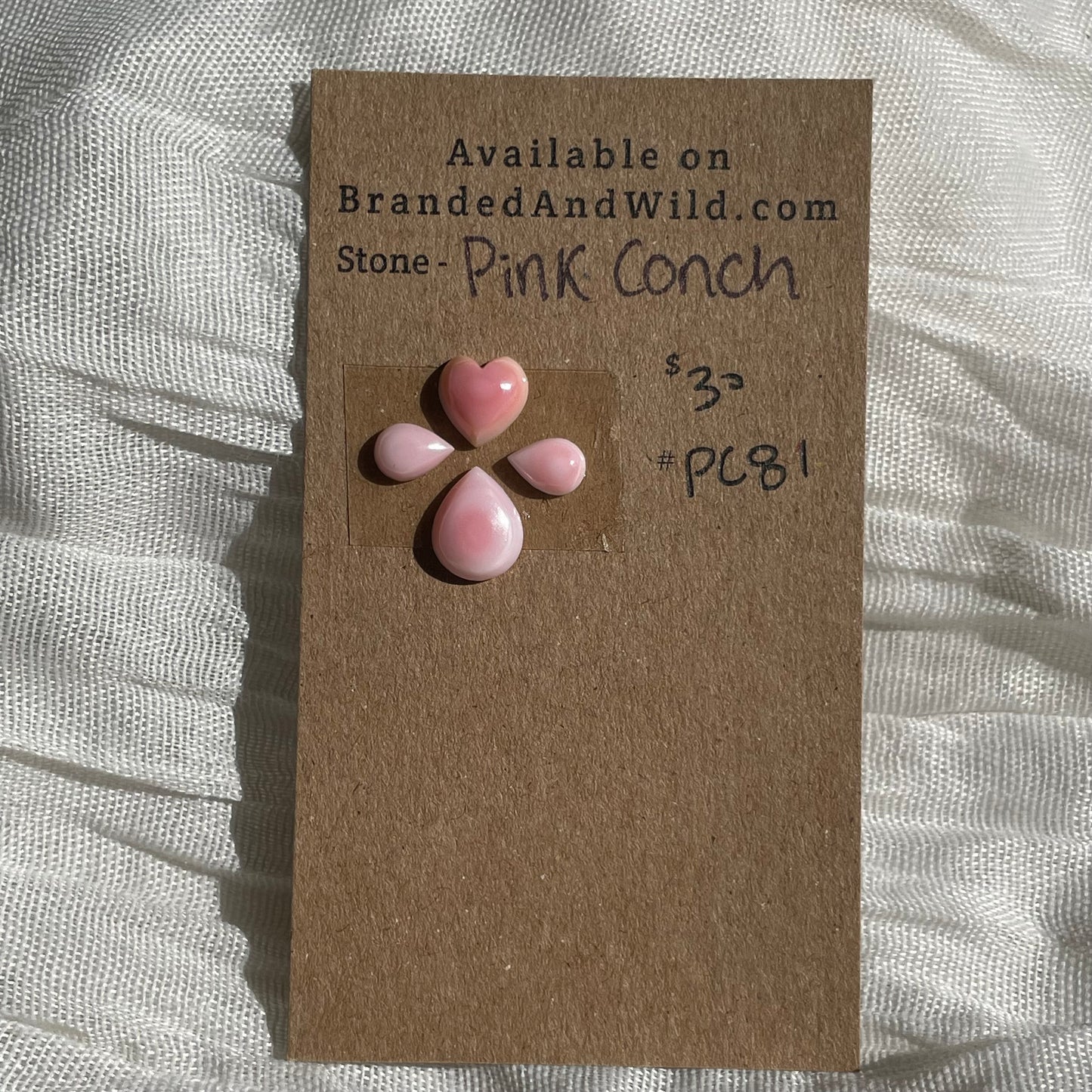 Pink Conch Cabochon - PC81 B0A46D31-D97E-4F2C-87AC-CFE58F9D7BD7 Brandedandwild.com