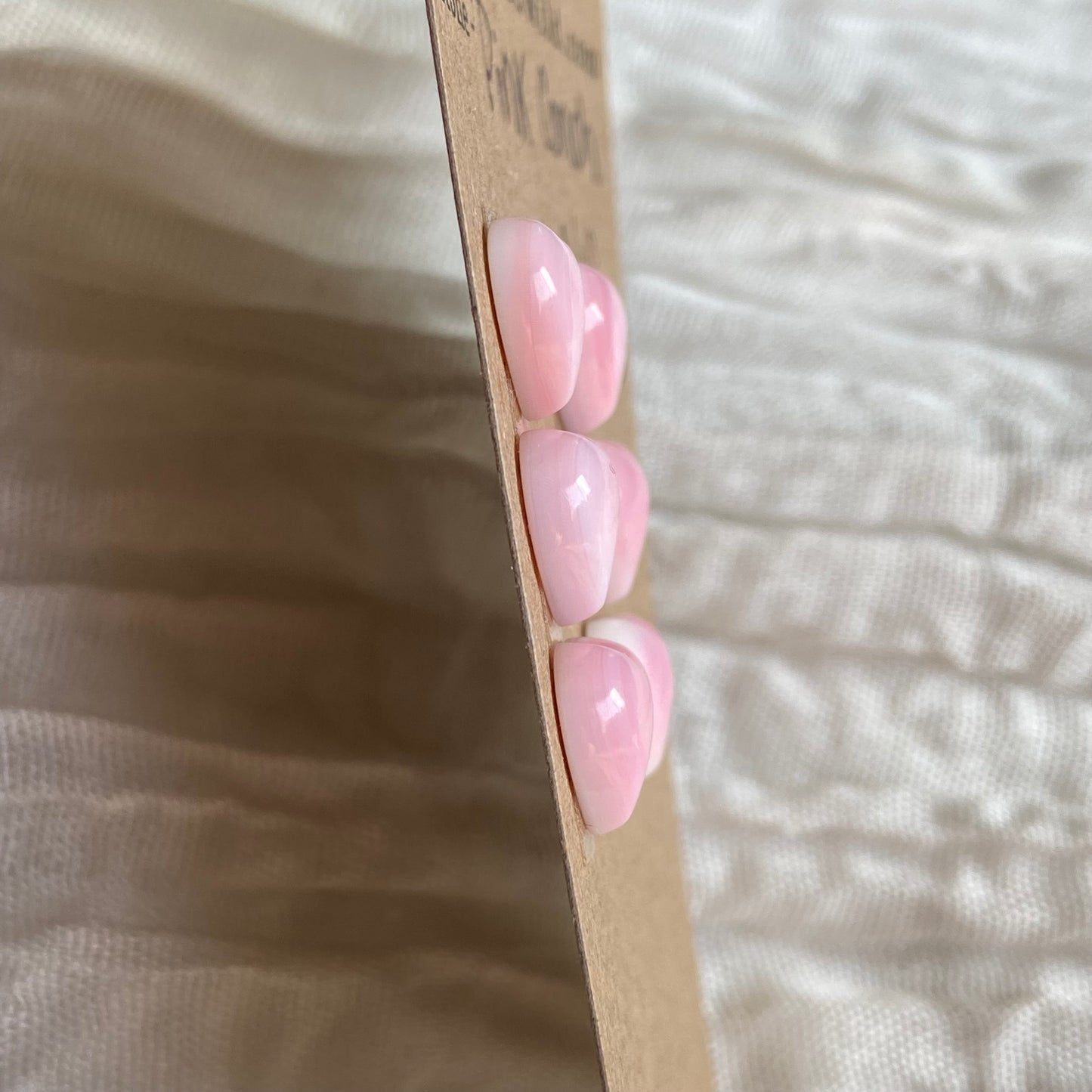 Pink Conch Cabochon - PC40 B0BD0D76-188D-47FE-A248-C952A72074F6 Brandedandwild.com