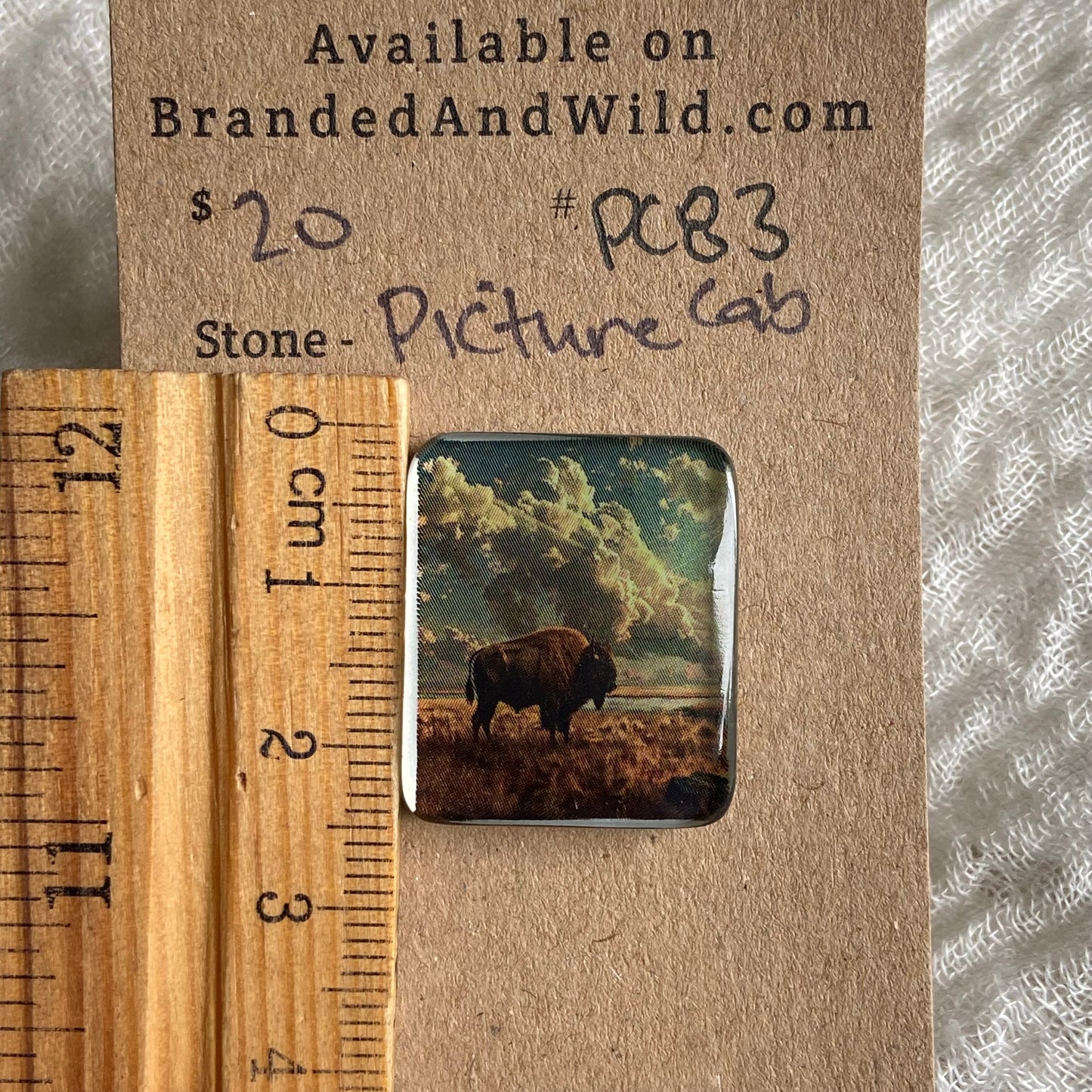 Picture Cabochon - Cabochon - PC83 B0BF58D4-CF3E-46E4-A188-B55BB3D993B7 Brandedandwild.com