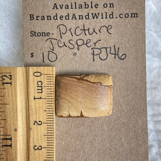 Picture Jasper Cabochon - PJ46