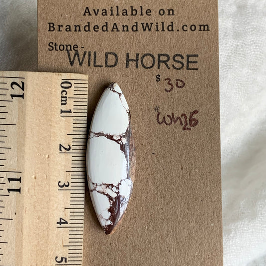 Wild Horse Cabochon - WH26