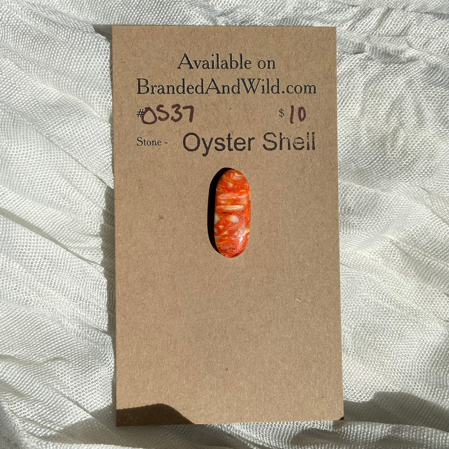 Oystershell Cabochon - OS37 B0FA3B28-D7C4-440E-AAD2-AA2B509500C1 Brandedandwild.com