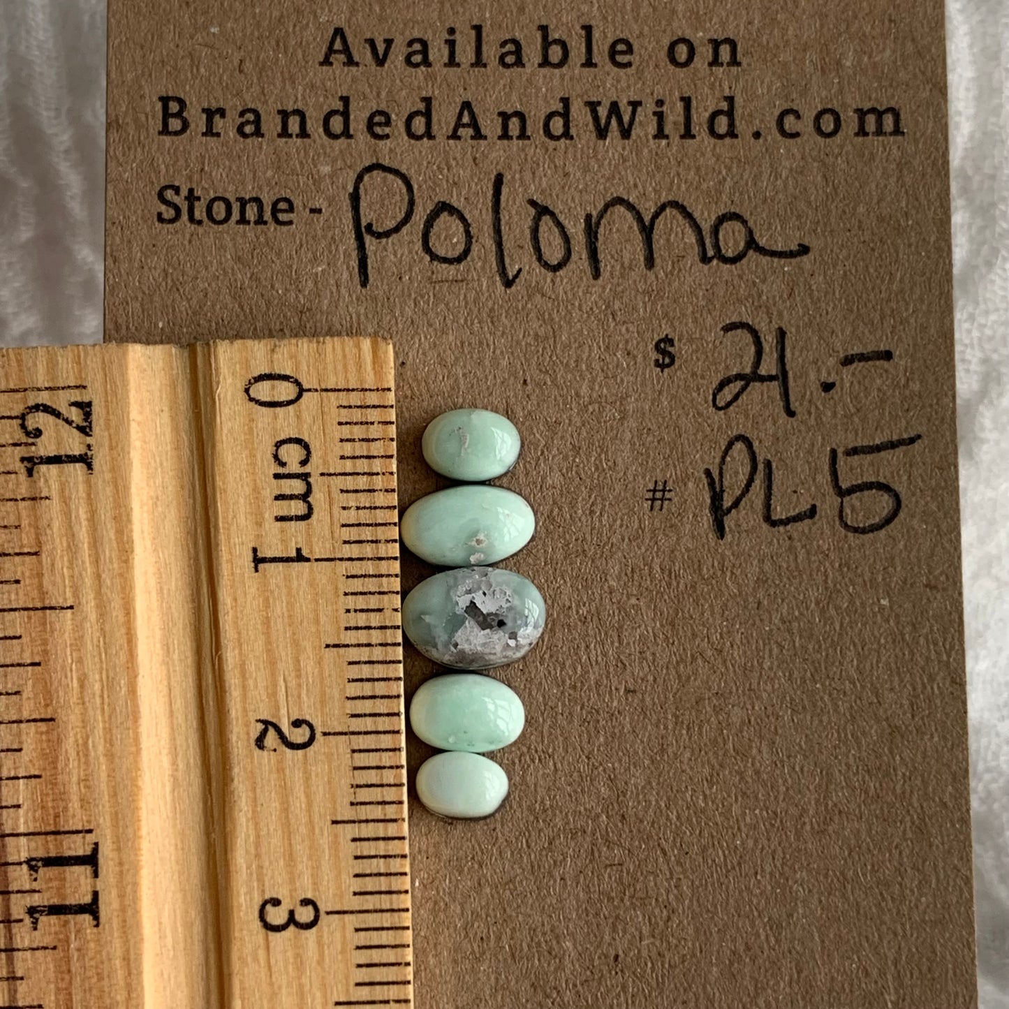 Paloma Cabochon - PL5