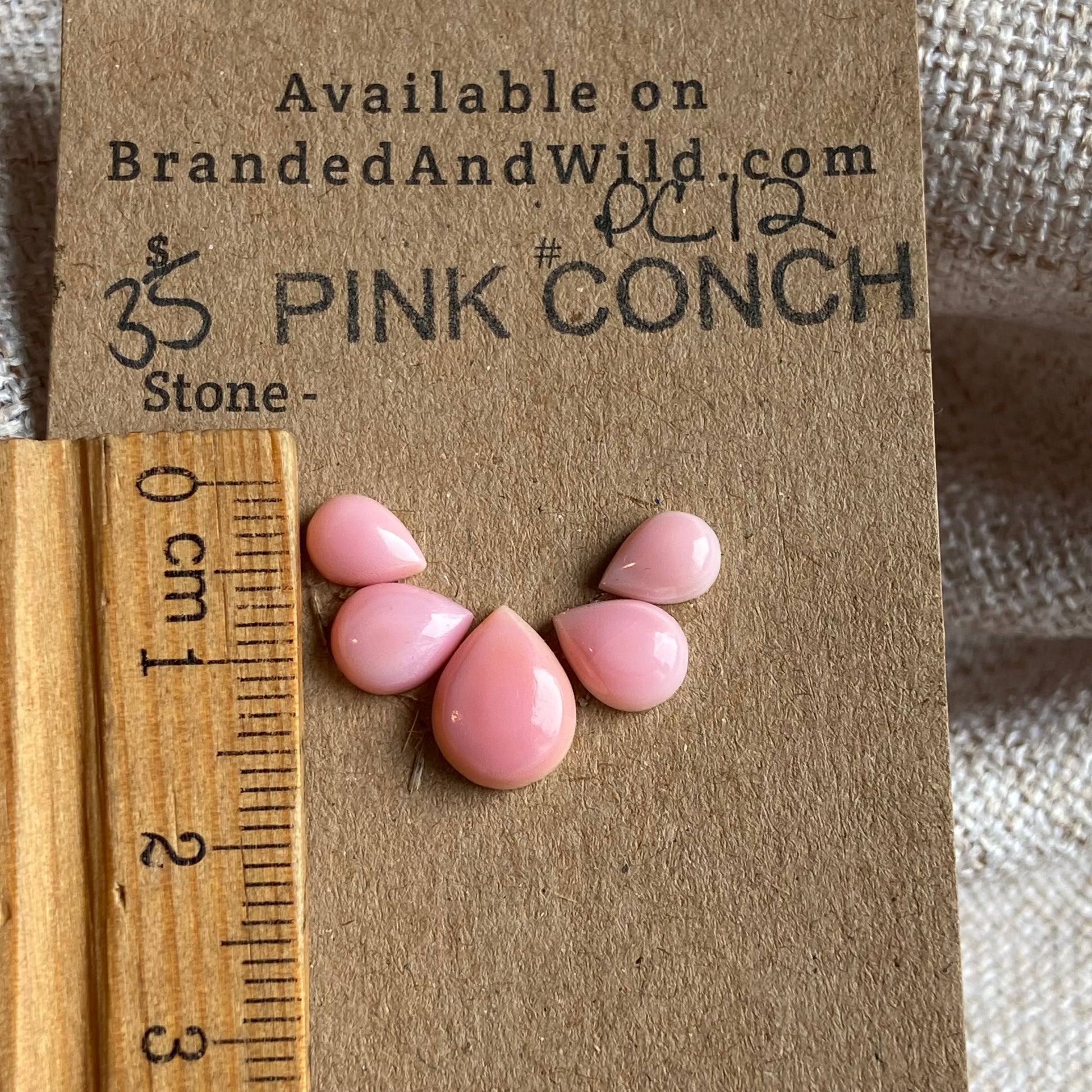 Pink Conch Cabochon - PC12 B1032FFF-7C88-4C8B-946C-5BCAF4BB6766 Brandedandwild.com