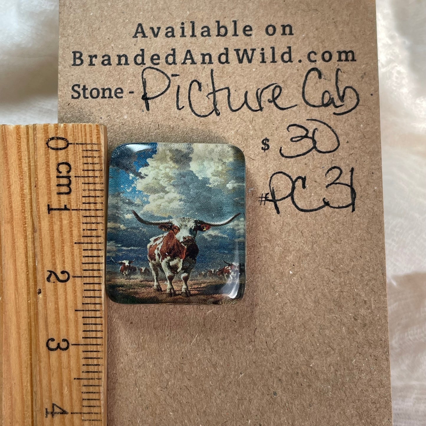 Picture Cabochon - Cabochon - PC31