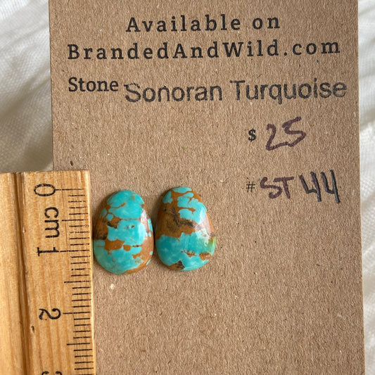 Sonoran Turquoise Cabochon - ST44 B1540263-E6DD-4234-AB7B-8995CE4B63A7 Brandedandwild.com