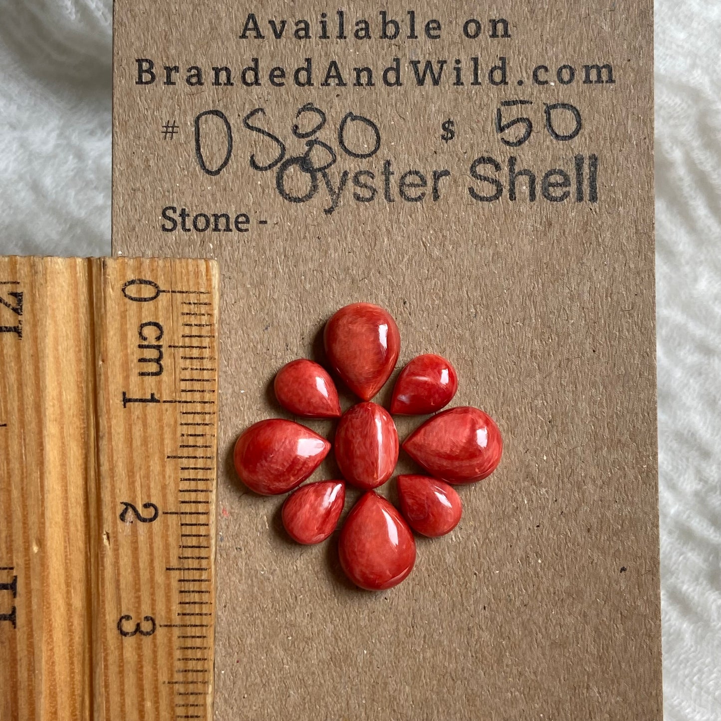 Oyster Shell Cabochon - OS80