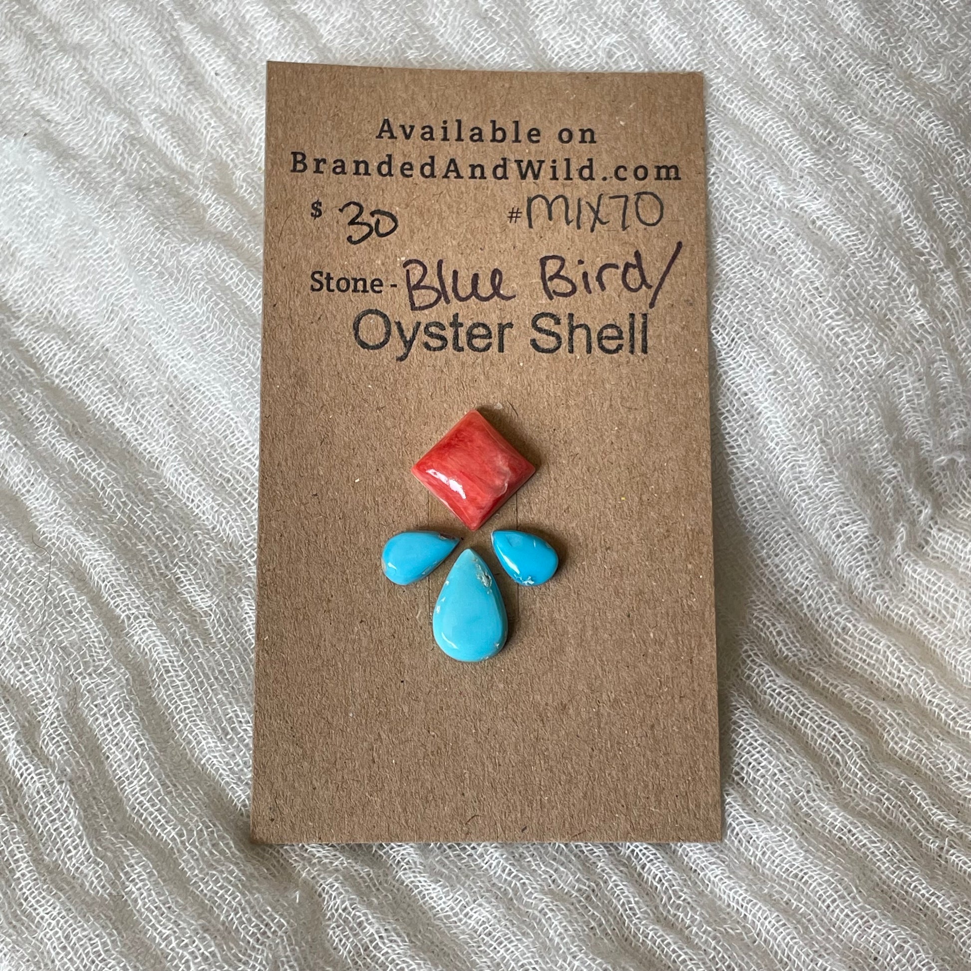Oyster Shell / Blue Bird Cabochon - Mix70 B15F372B-5E10-4286-B40B-3BB865F9F2AC Brandedandwild.com