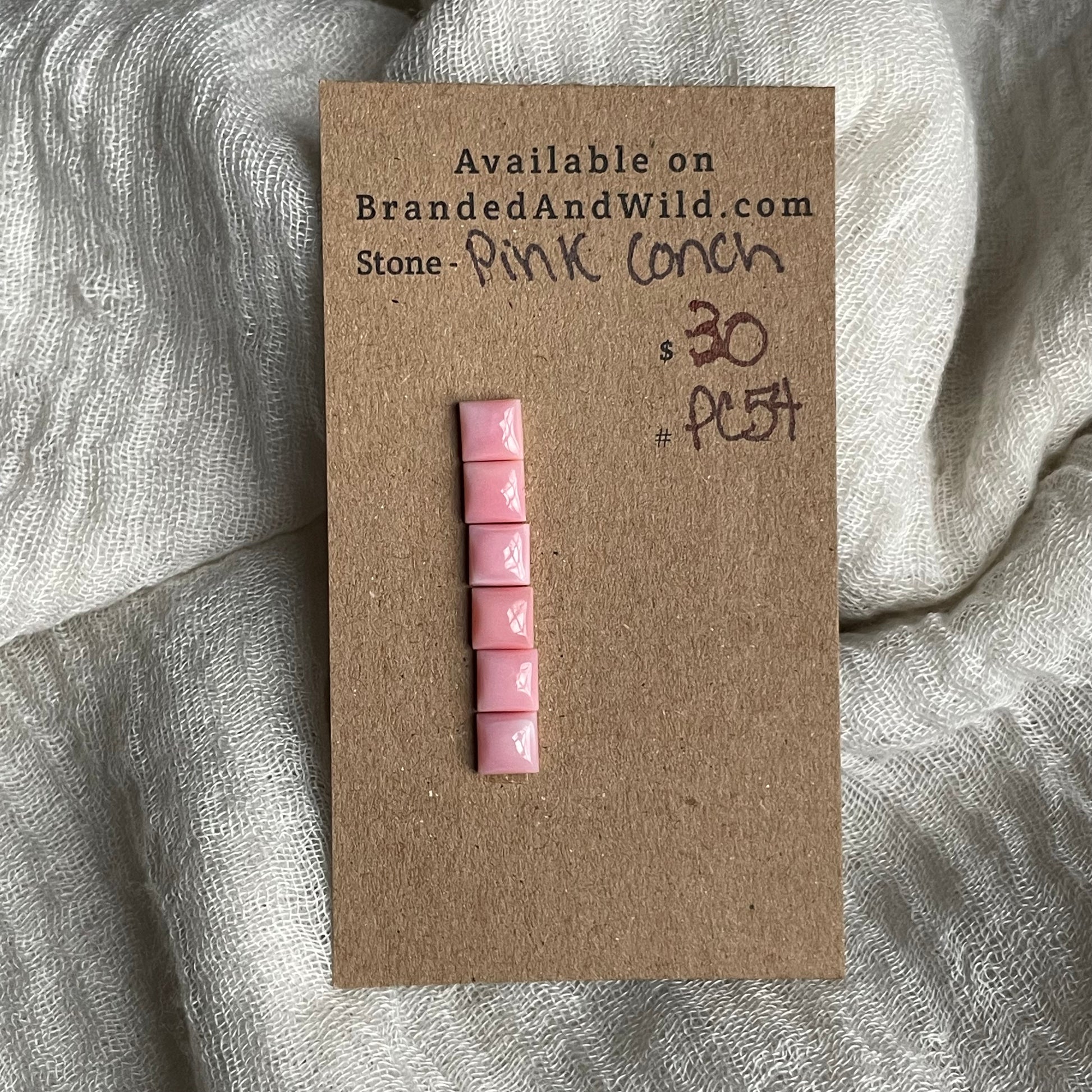 Pink Conch Cabochon - PC54 B174D0B5-087C-418B-8D45-0F13A3D2AE0D Brandedandwild.com