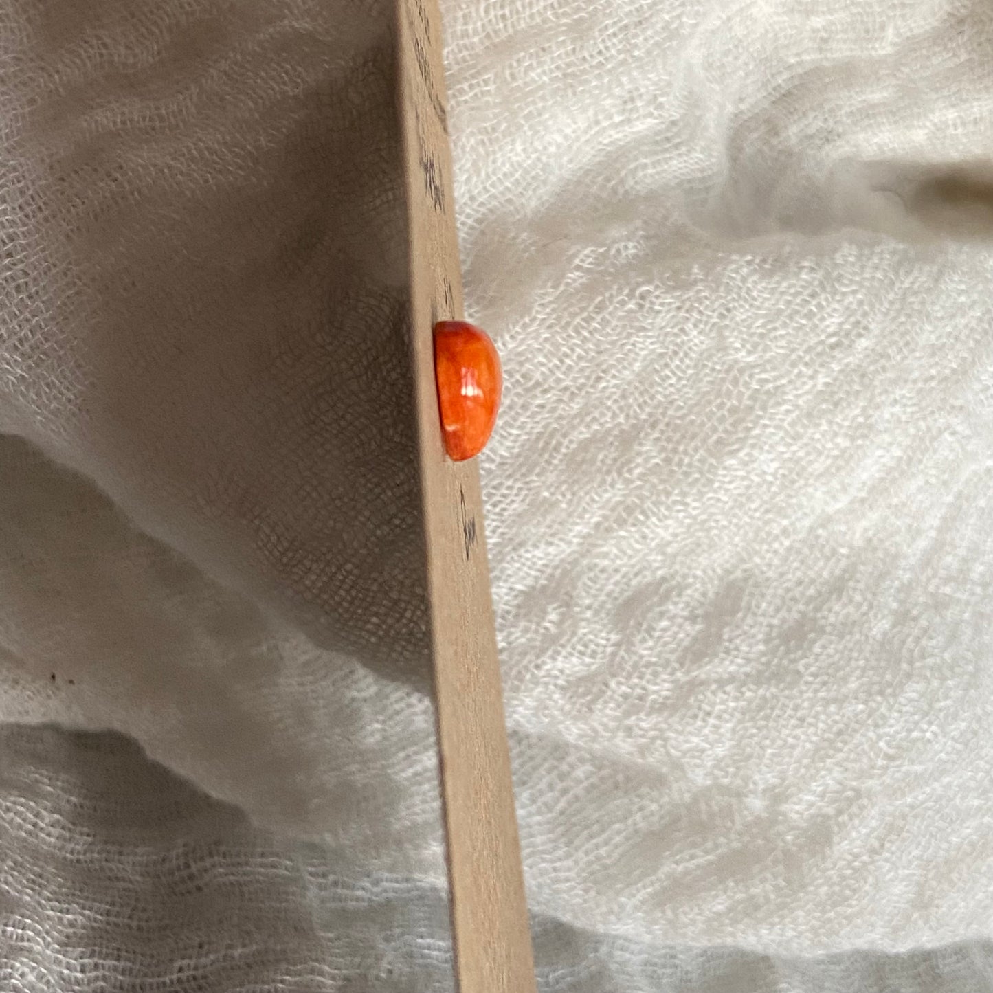 Oystershell Cabochon - OS13