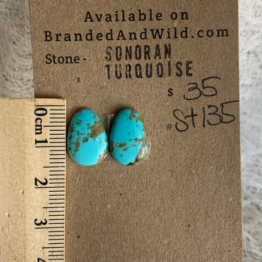 Sonoran Turquoise Cabochon - ST135