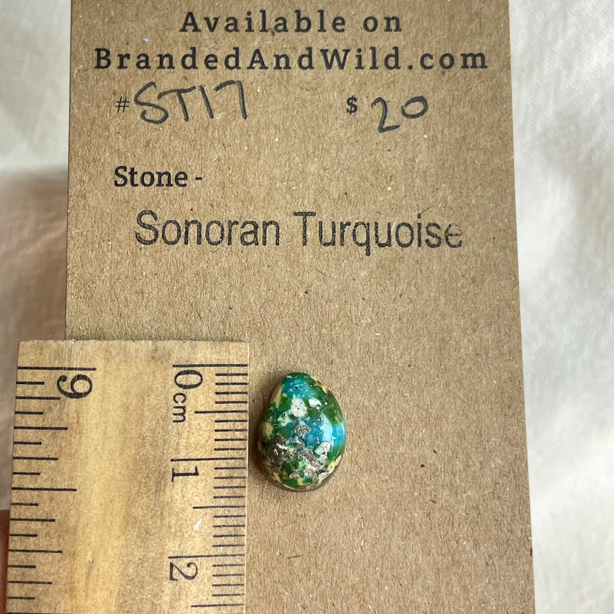Sonoran Turquoise Cabochon - ST17 B1BB454B-2E1E-43E8-A3B3-B0465933CFB5 Brandedandwild.com