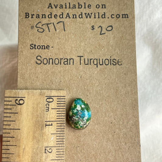 Sonoran Turquoise Cabochon - ST17 B1BB454B-2E1E-43E8-A3B3-B0465933CFB5 Brandedandwild.com