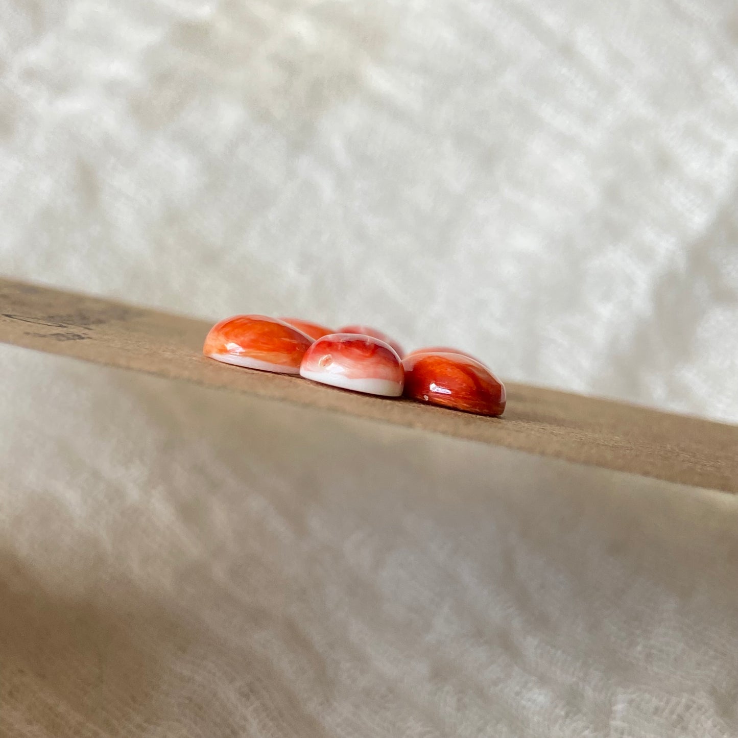 Oystershell Cabochon - OS54 B1C36EF0-C7FF-4EE9-89C5-6039FC29D7C2 Brandedandwild.com