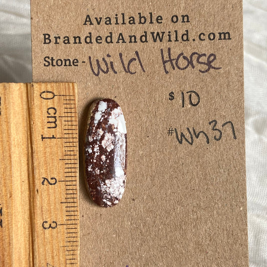Wild Horse Cabochon - WH37 B1F47354-9896-40F1-930B-E61FBC39C6C0 Brandedandwild.com