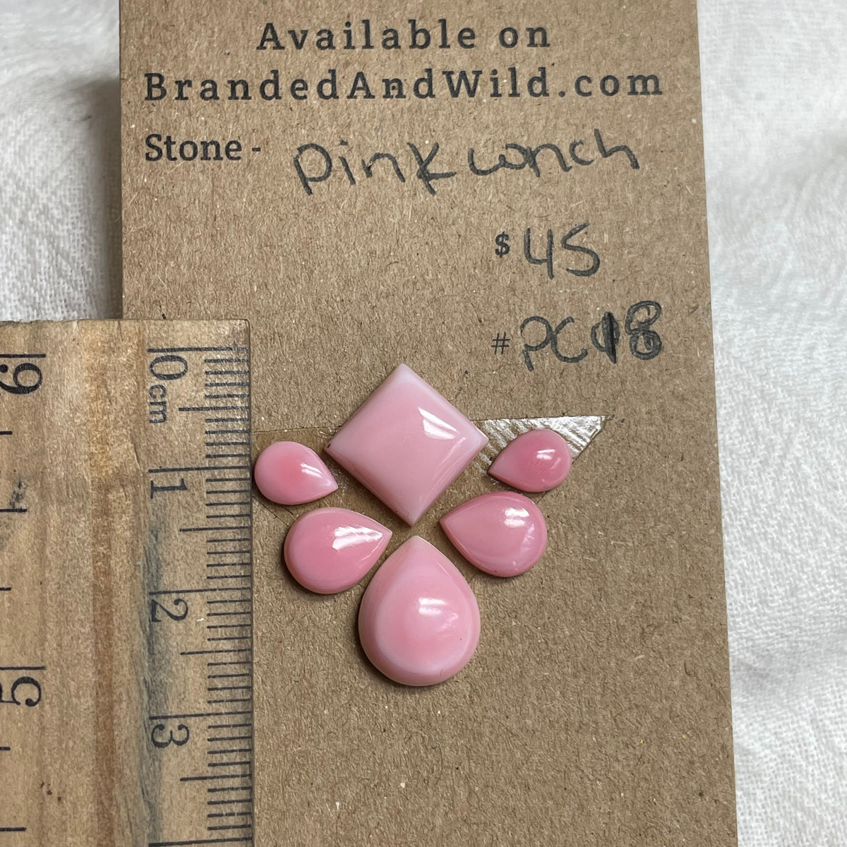 Pink Conch Cabochon - PC18 B1FE7554-B892-4A78-93D3-394E8C98EC87 Brandedandwild.com