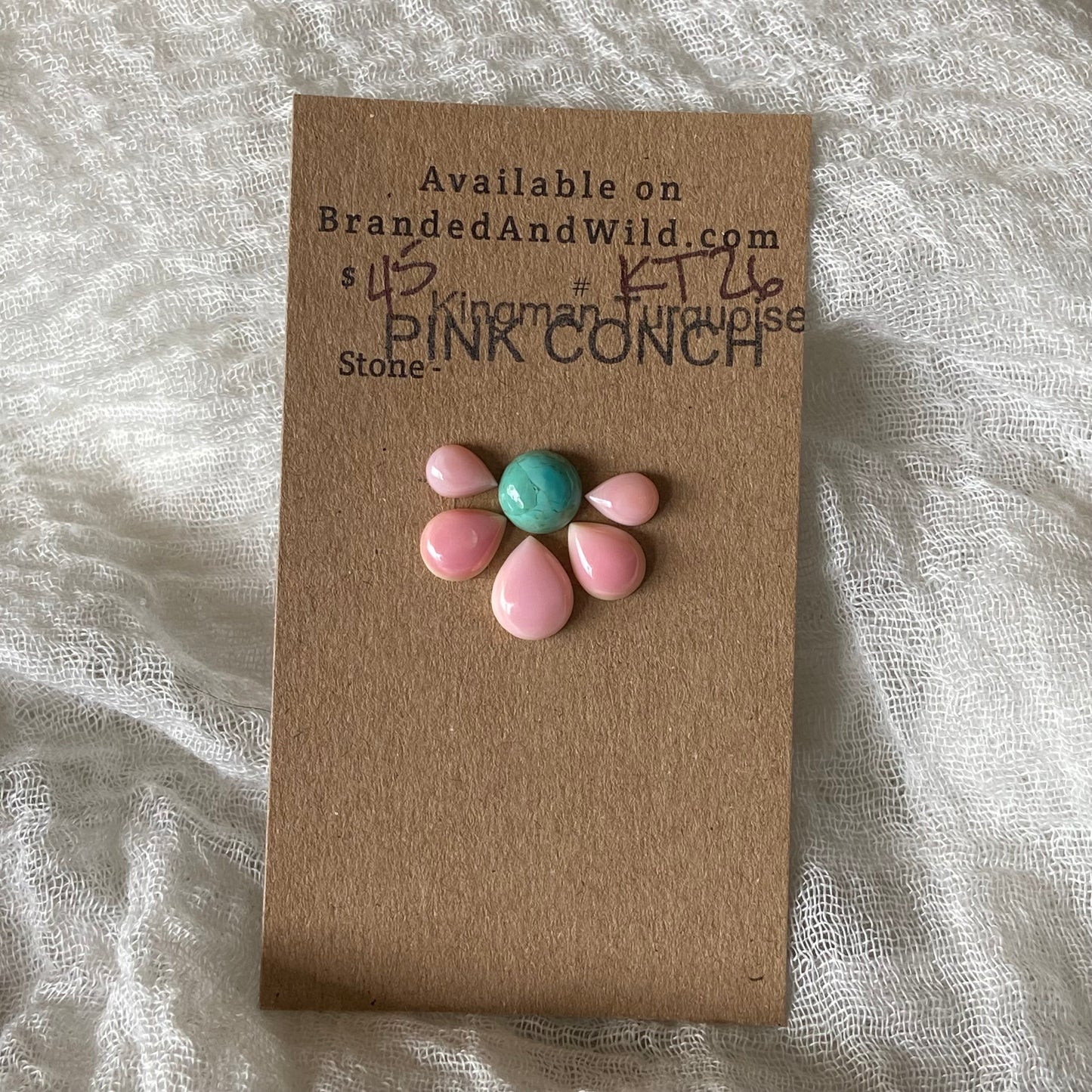 Pink Conch / Kingman Turquoise Cabochon - PK26