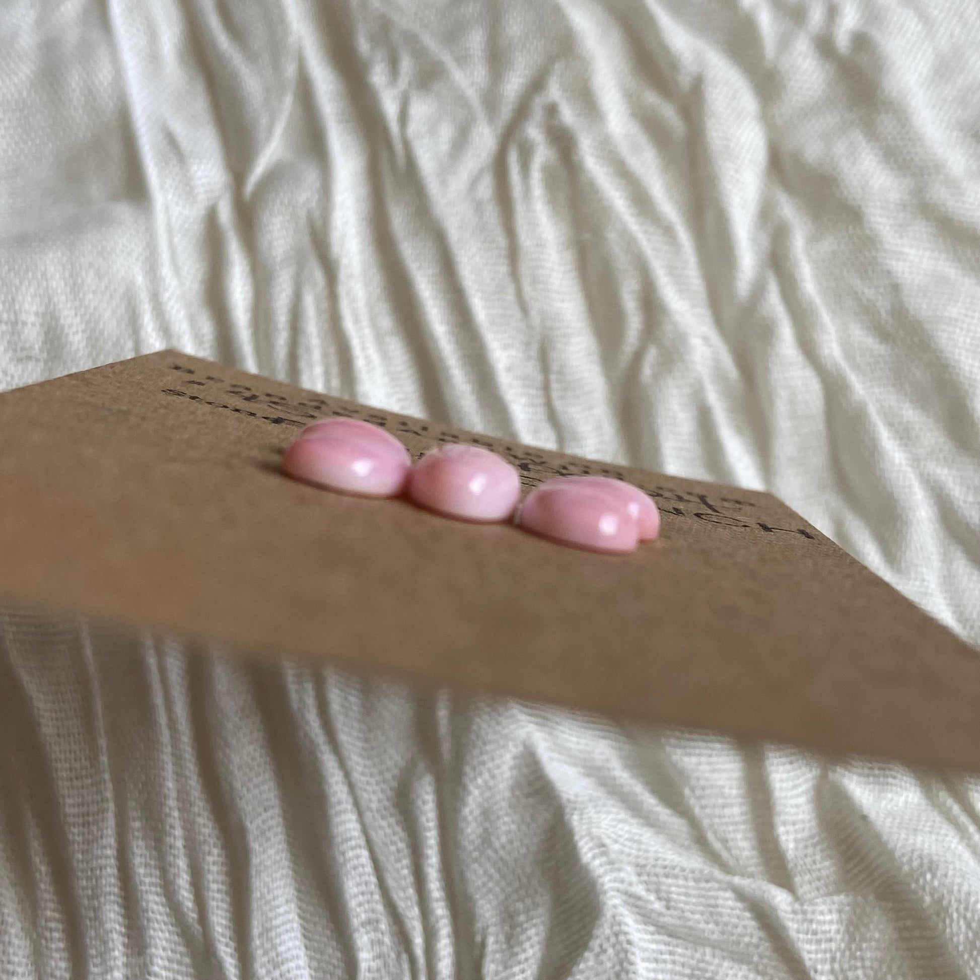 Pink Conch Cabochon - PC24 B21793B4-D0C8-4804-A539-87C6EBFFB8AE Brandedandwild.com