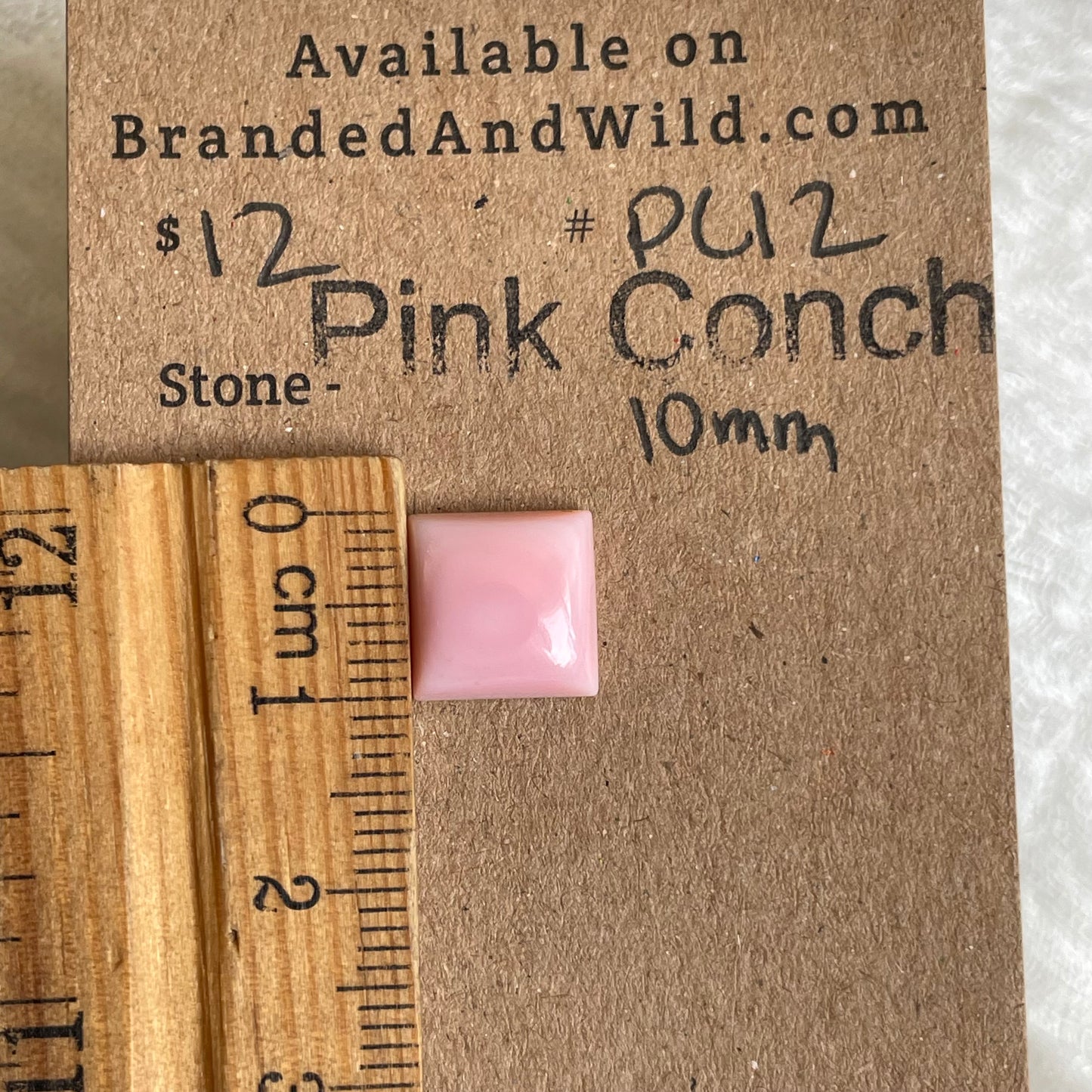 Pink Conch Cabochon - PC12