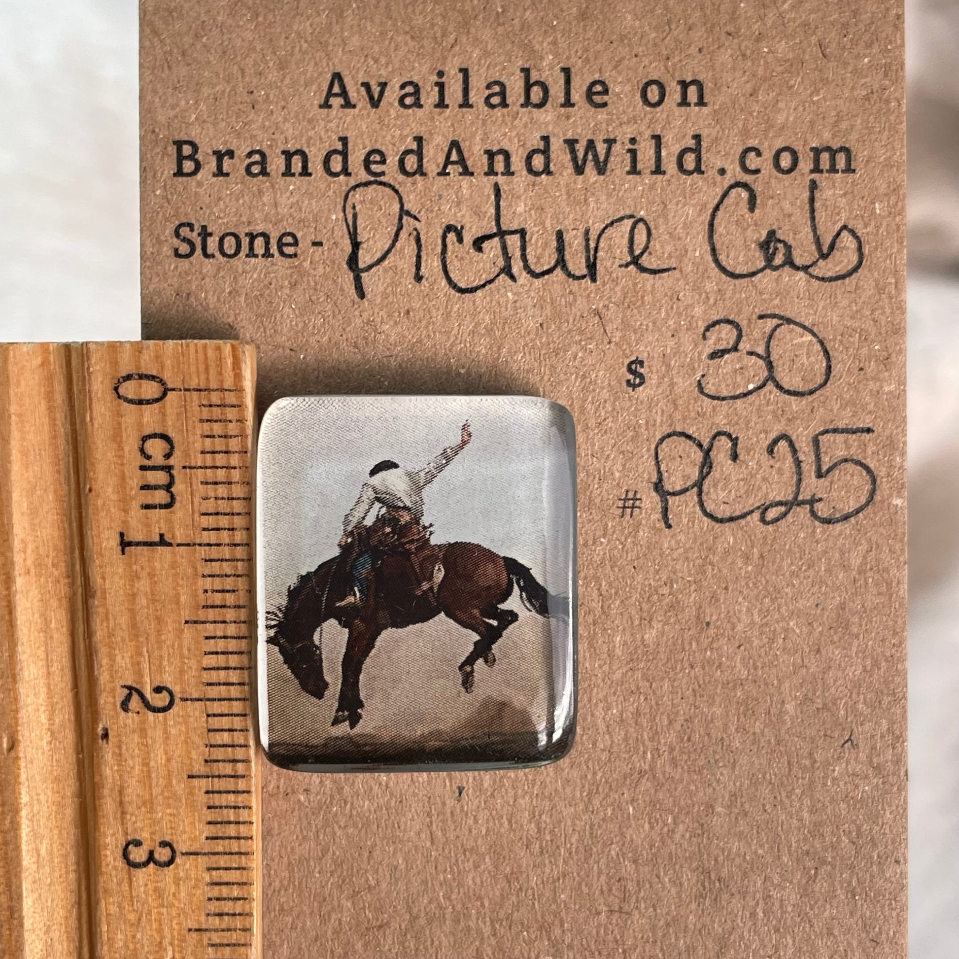 Picture Cabochon - Cabochon - PC25 B250F72B-6460-41D1-9C15-5D91A5821420 Brandedandwild.com