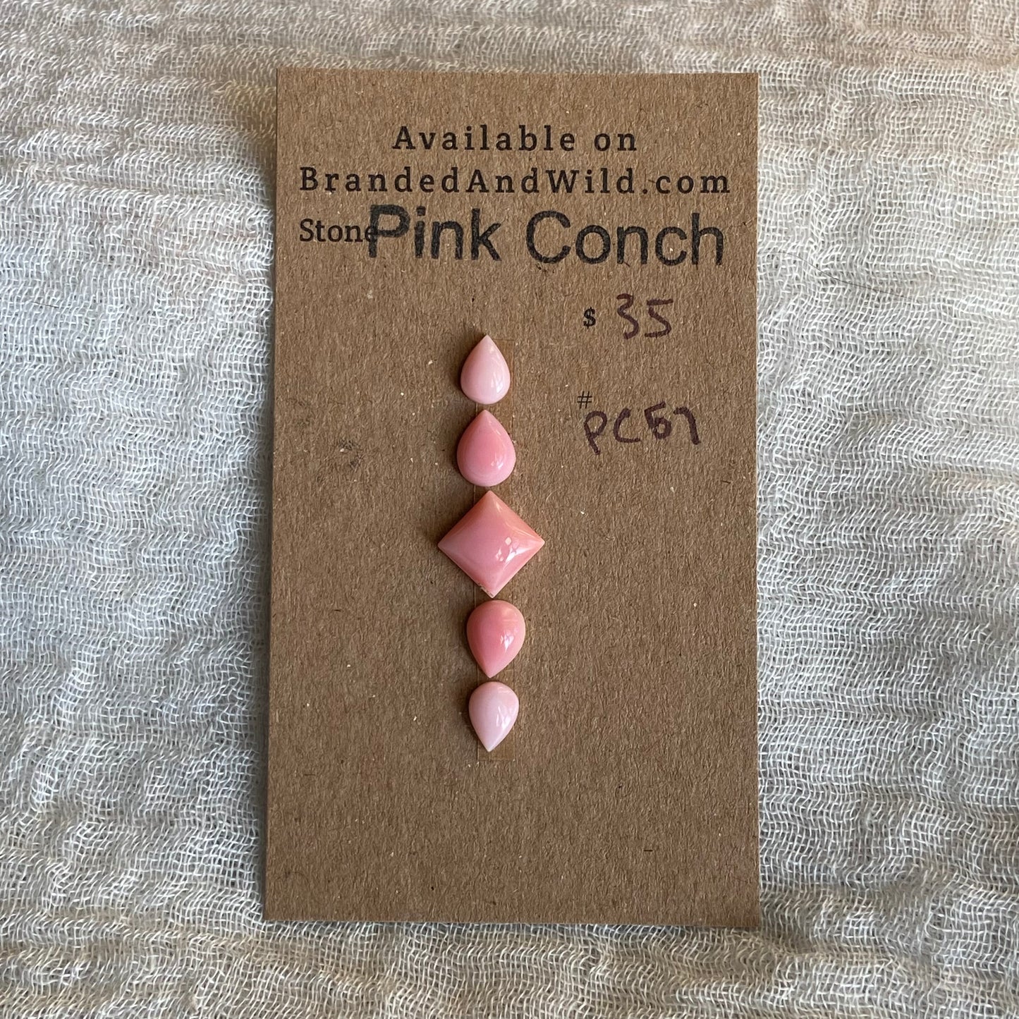 Pink Conch Cabochon - PC67