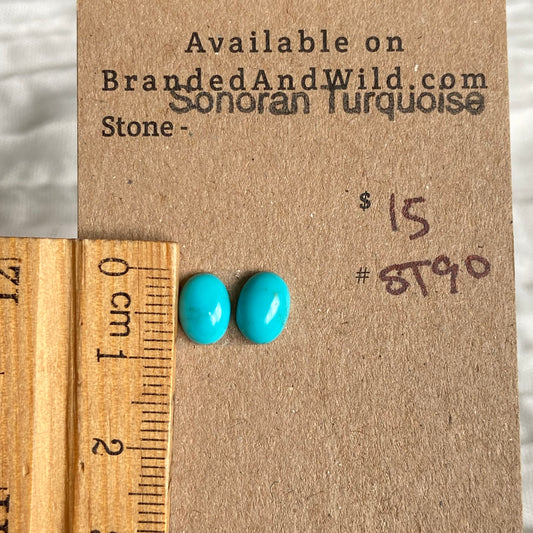 Sonoran Turquoise Cabochon - ST90 B276D3FF-9B9E-4094-B7B1-B4ED8F38730D Brandedandwild.com