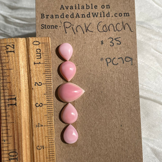 Pink Conch Cabochon - PC79 B281D59E-1FF6-47CD-A2A4-206C0BEFD5C2 Brandedandwild.com