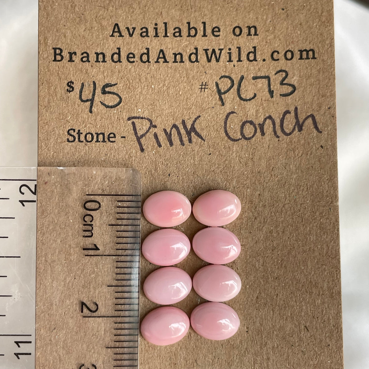 Pink Conch Cabochon - PC73 B28D0D7C-3BF4-434E-8E78-8717FF4E3A92 Brandedandwild.com