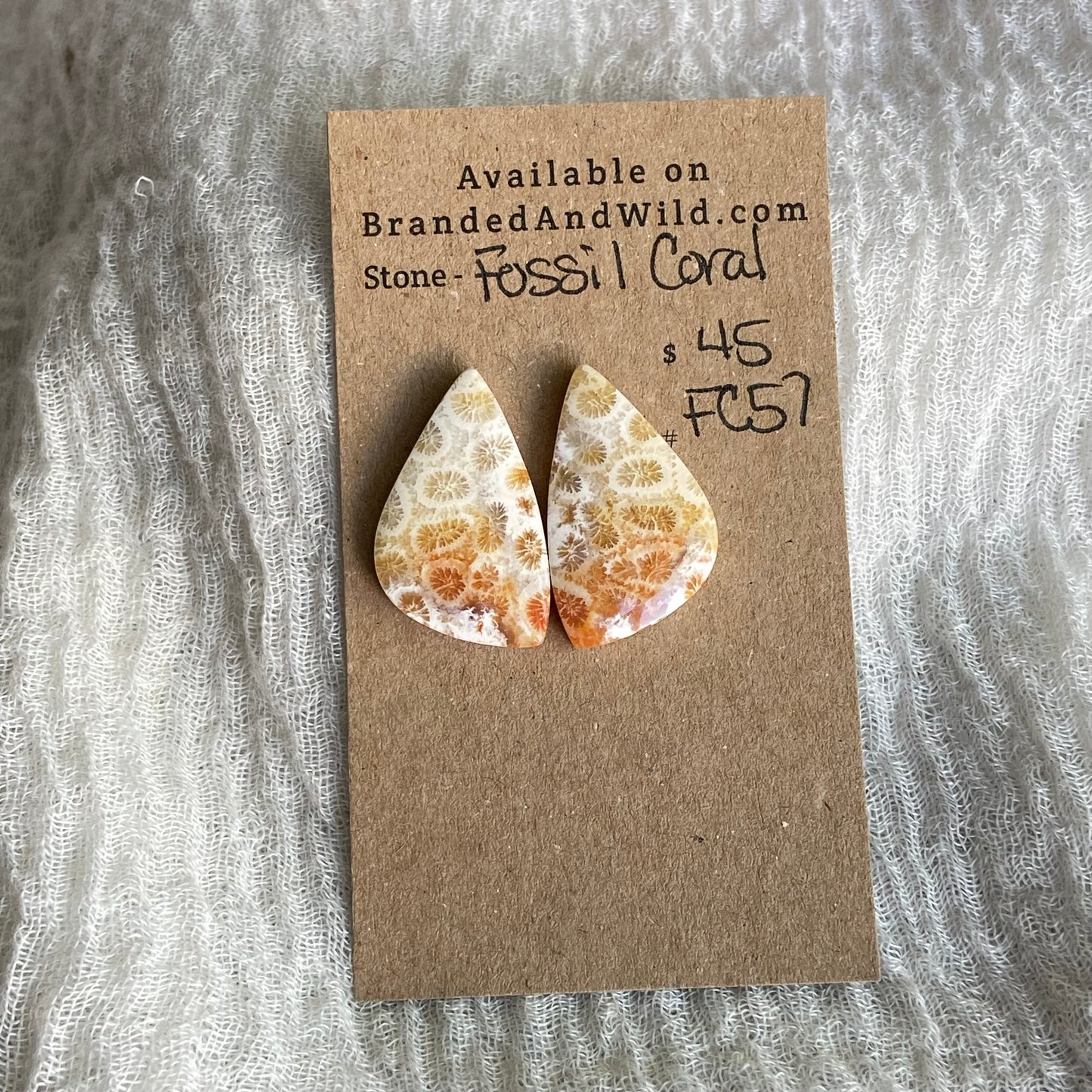 Fossil Coral Cabochon - FC57