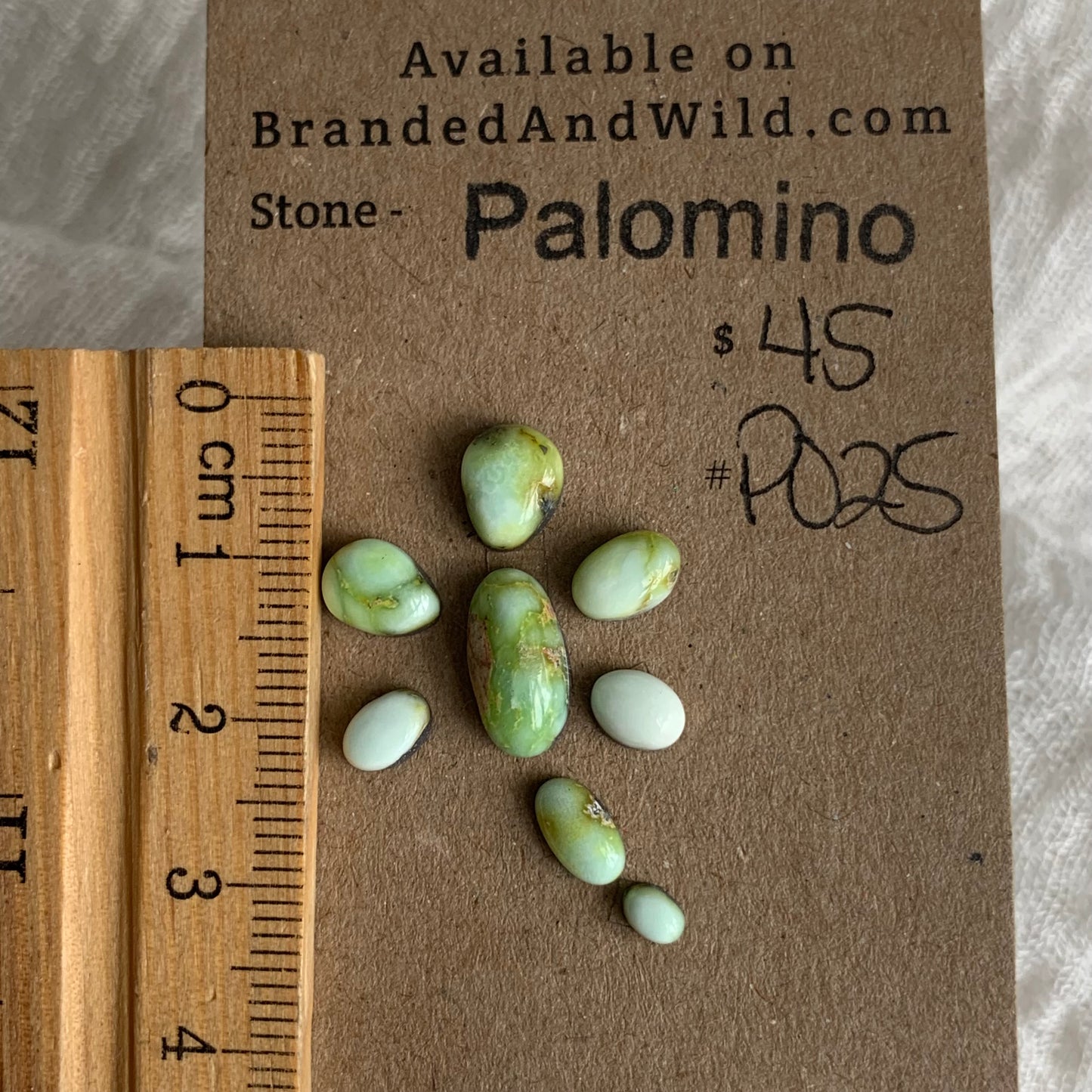 Palomino Cabochon - P025