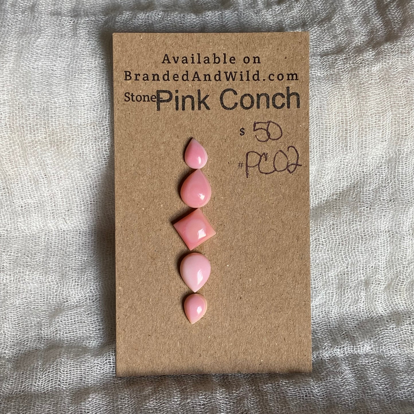 Pink Conch Cabochon - PC02