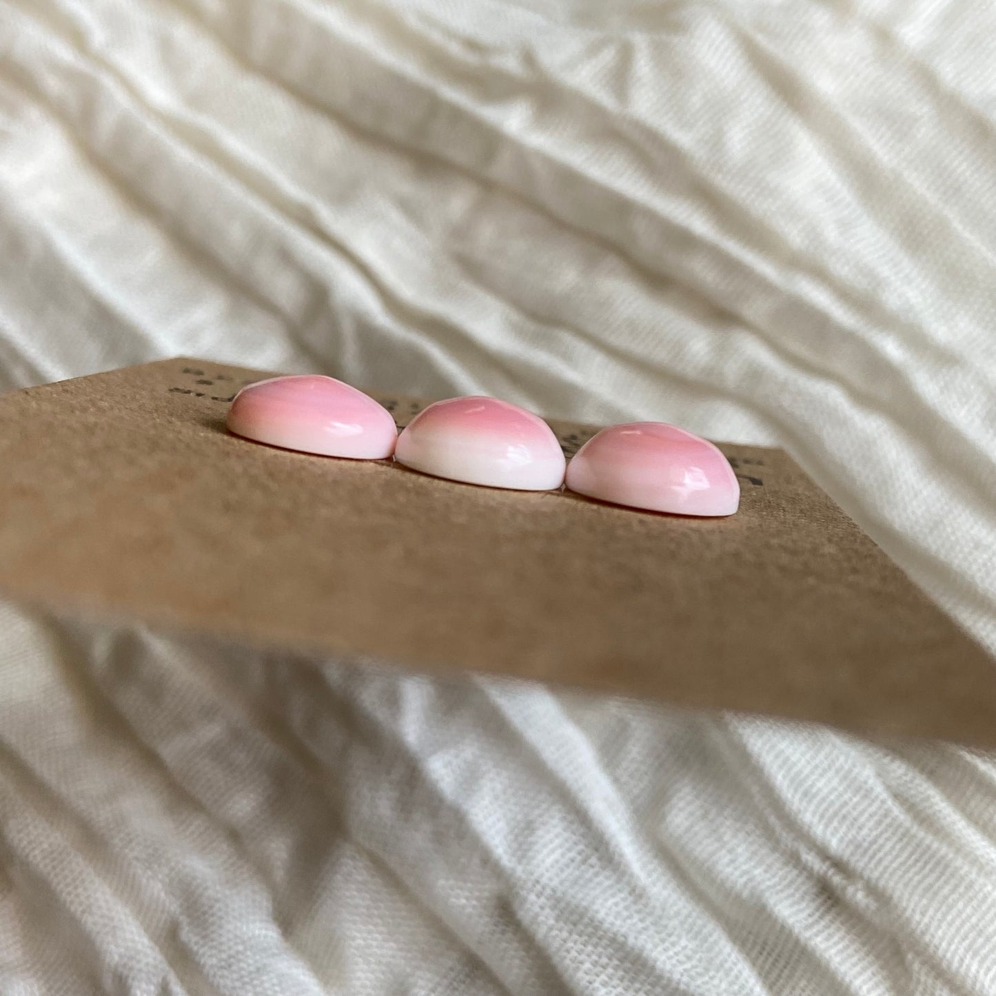 Pink Conch Cabochon - PC67