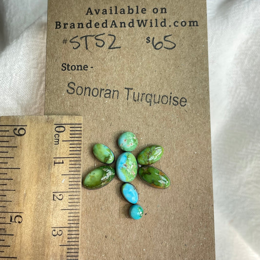 Sonoran Turquoise Cabochon - ST52 B2DD69E8-B01F-421B-8015-FC80BCDA903B Brandedandwild.com