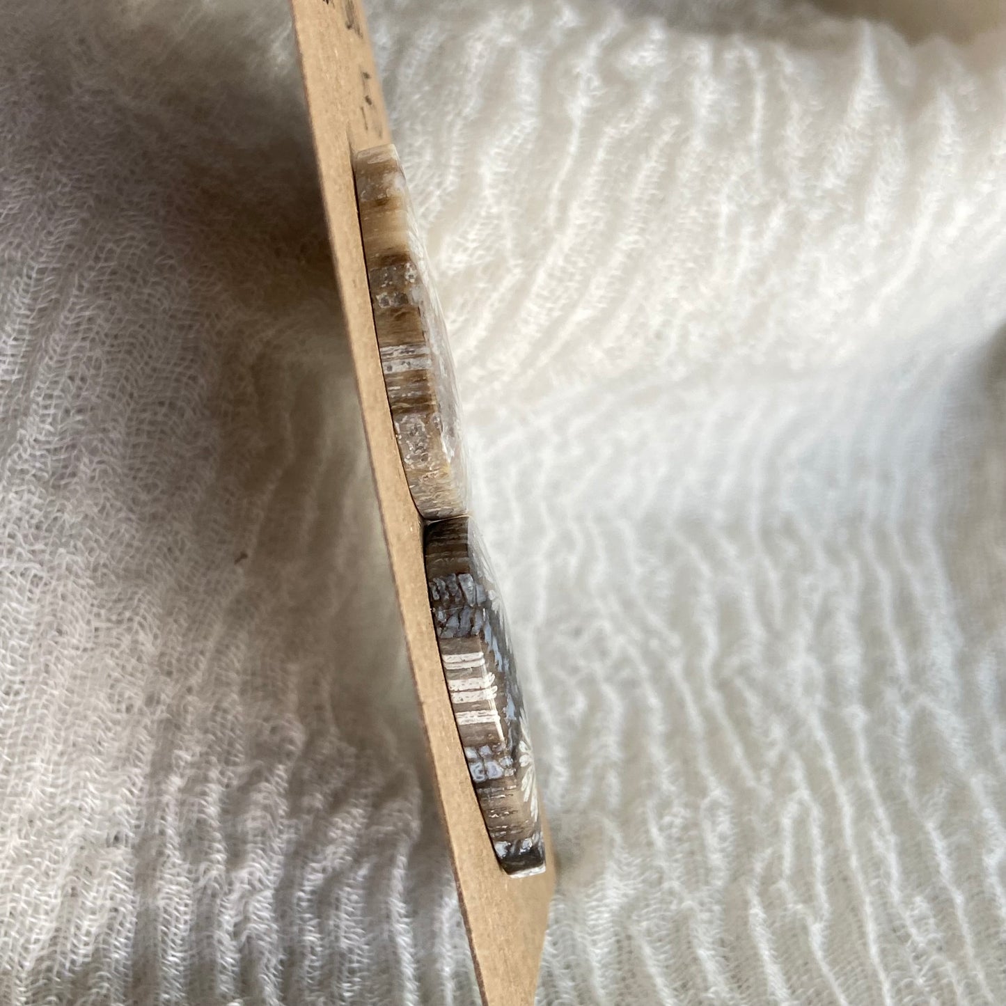 Fossil Coral Cabochon - FC54