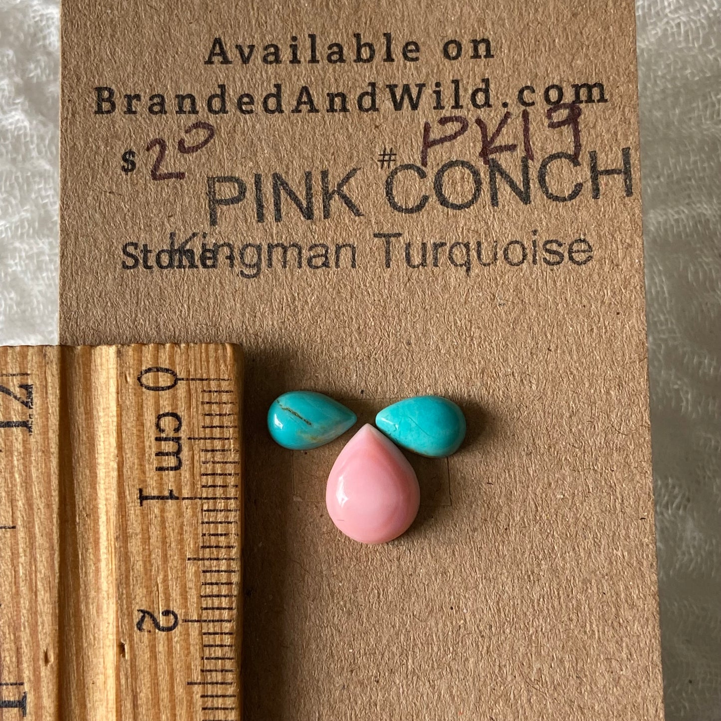 Pink Conch / Kingman Turquoise Cabochon - PK24