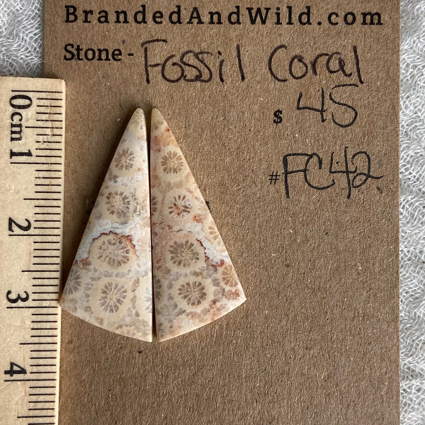 Fossil Coral Cabochon - FC42