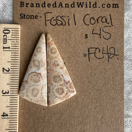 Fossil Coral Cabochon - FC42