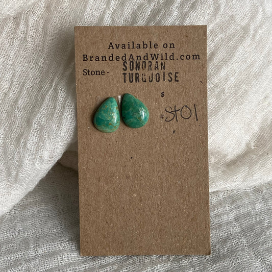 Sonoran Turquoise Cabochon - ST01