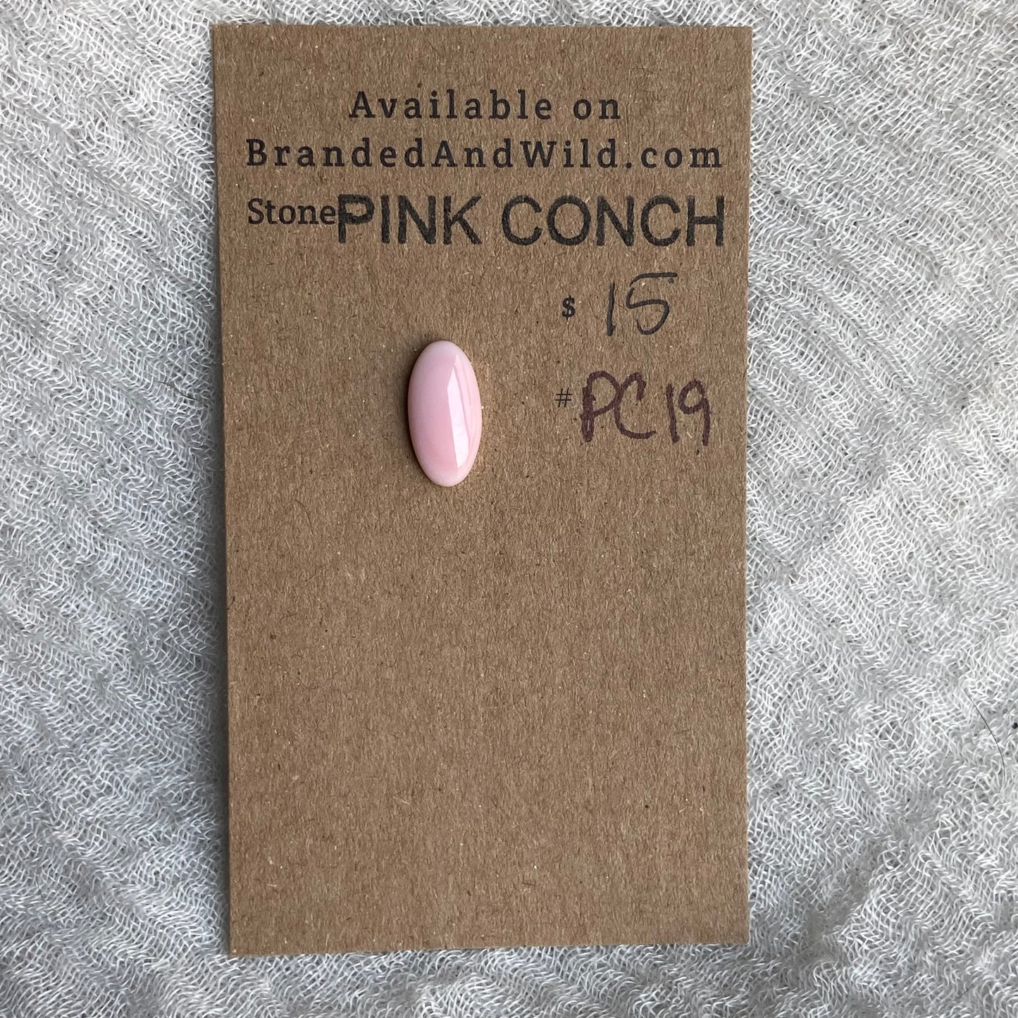 Pink Conch Cabochon - PC19