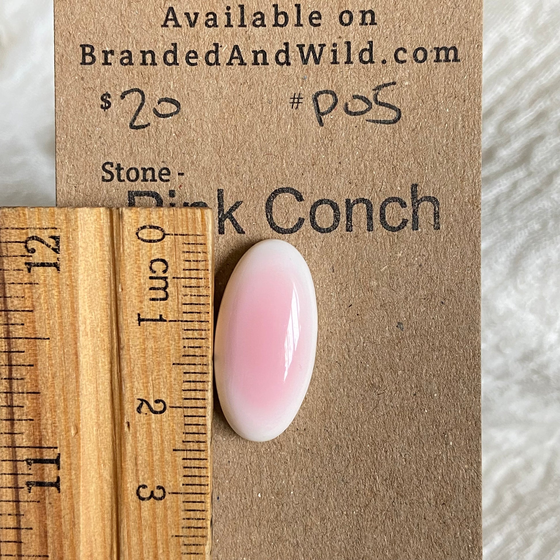 Pink Conch Cabochon - P05 B3906BE1-B045-410F-9A1F-73704E99BD75 Brandedandwild.com