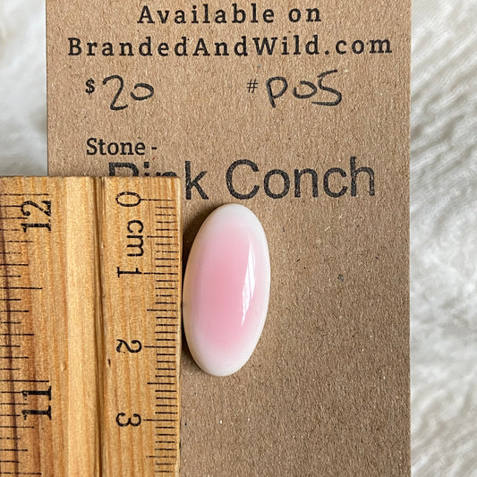 Pink Conch Cabochon - P05 B3906BE1-B045-410F-9A1F-73704E99BD75 Brandedandwild.com