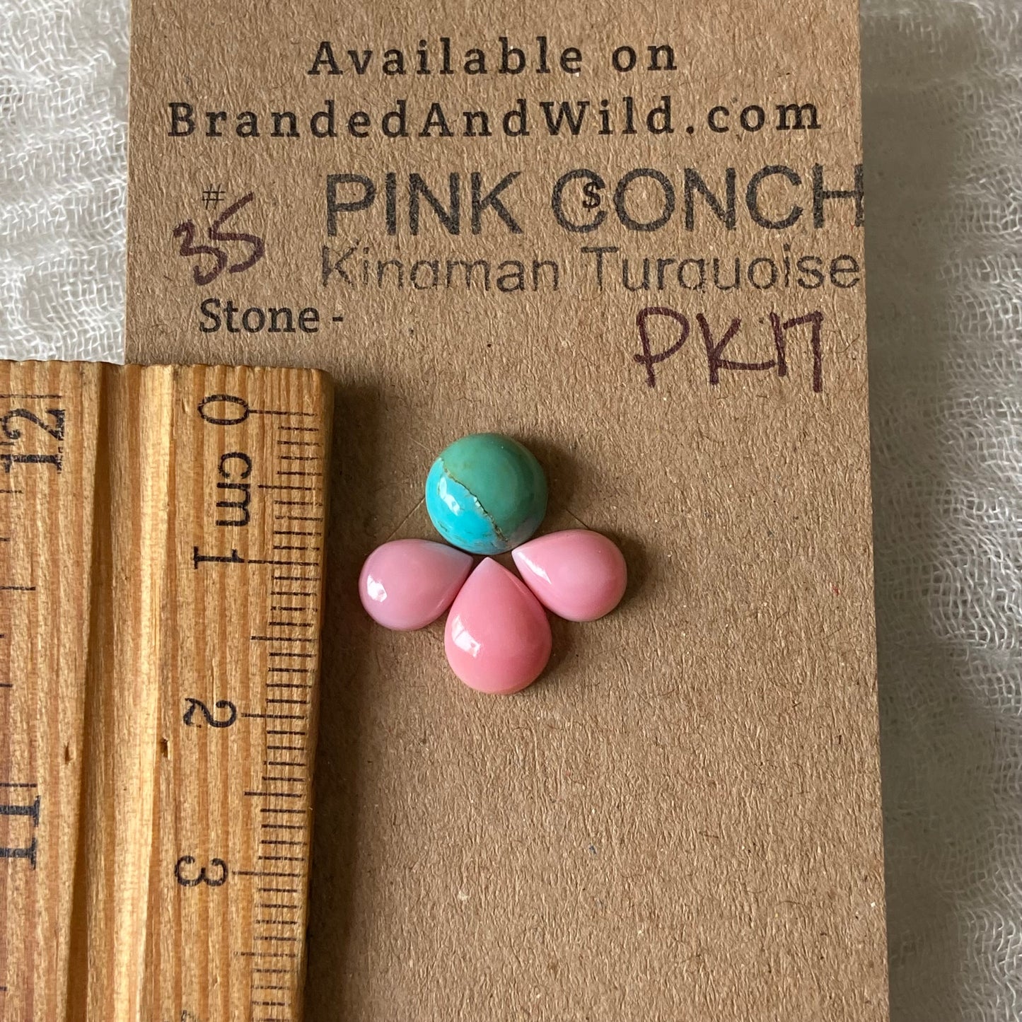 Pink Conch / Kingman Turquoise Cabochon - PK17