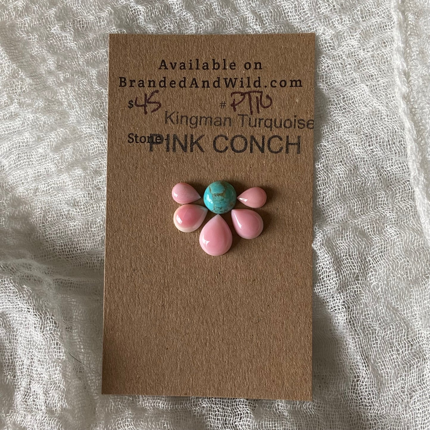 Pink Conch / Kingman Turquoise Cabochon - PT10
