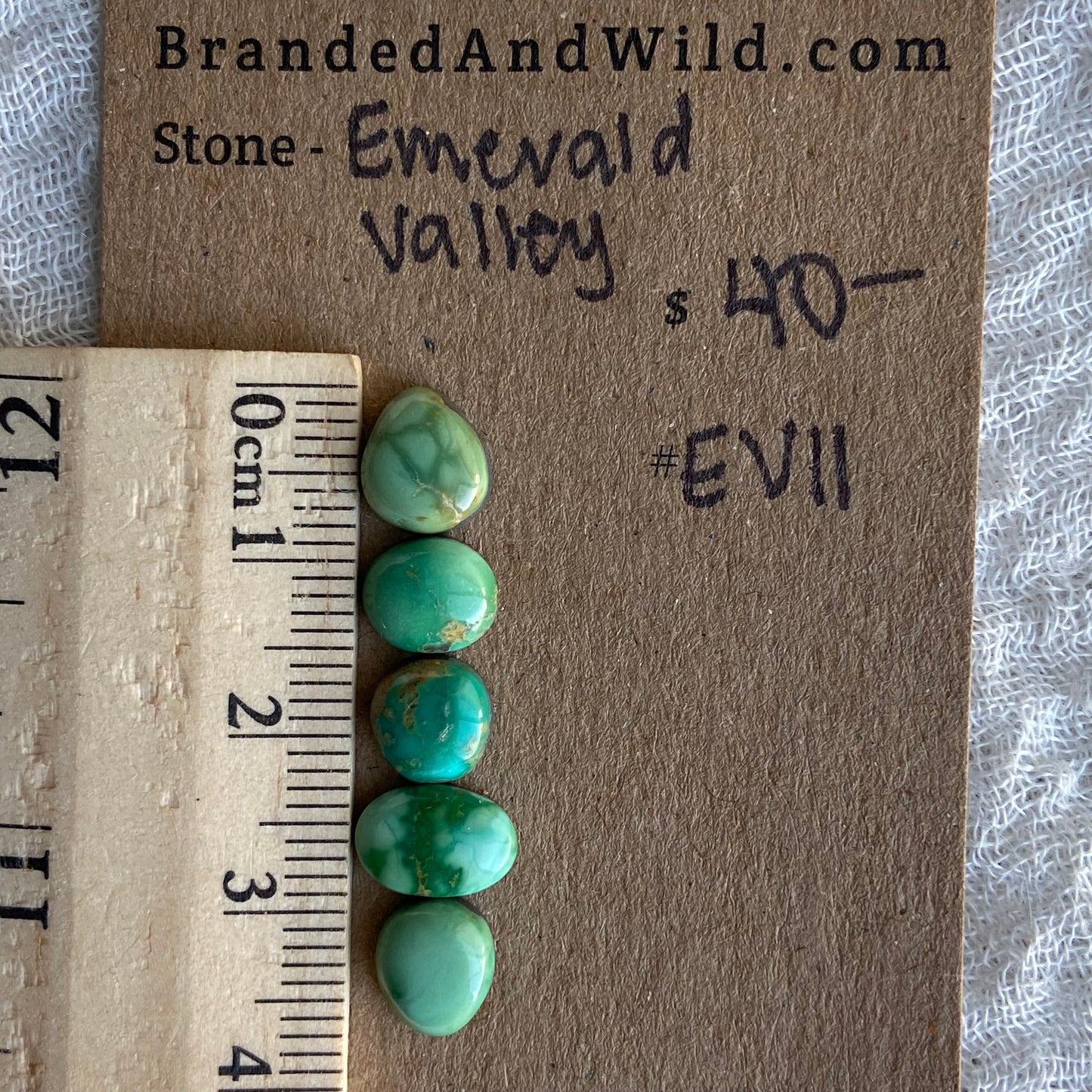 Emerald Valley Turquoise Cabochon - EV11