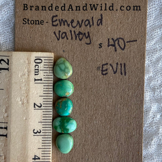 Emerald Valley Turquoise Cabochon - EV11